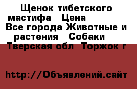Щенок тибетского мастифа › Цена ­ 60 000 - Все города Животные и растения » Собаки   . Тверская обл.,Торжок г.